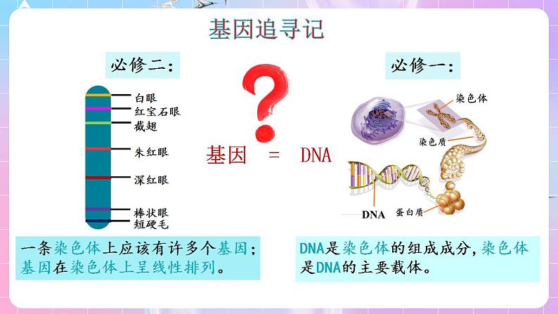 3.4《基因通常是有遗传效应的DNA片段》 课件 人教版高中生物必修二06