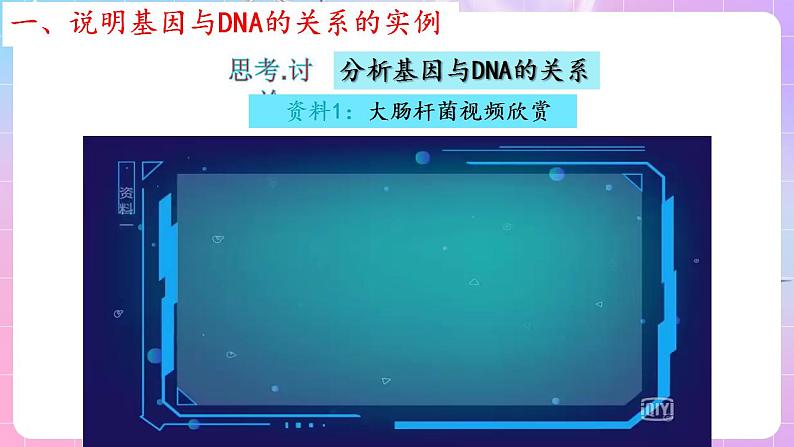 3.4《基因通常是有遗传效应的DNA片段》 课件 人教版高中生物必修二08