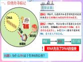 4.1《基因指导蛋白质的合成》（第1课时） 课件 人教版高中生物必修二