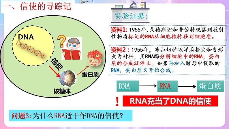 4.1《基因指导蛋白质的合成》（第1课时） 课件 人教版高中生物必修二05