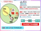 4.1《基因指导蛋白质的合成》（第1课时） 课件 人教版高中生物必修二