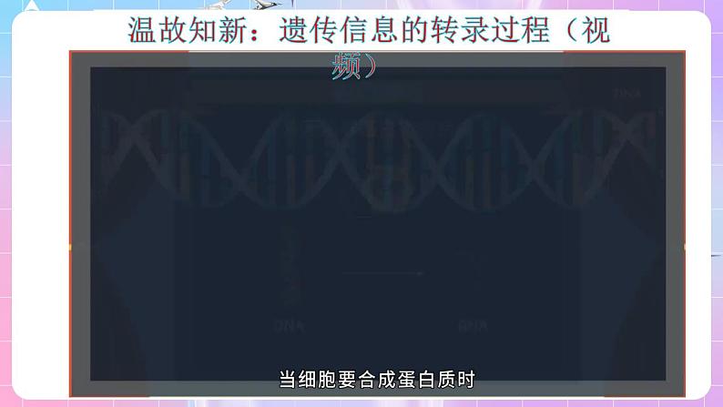 4.1《基因指导蛋白质的合成》（第2课时） 课件 人教版高中生物必修二第3页