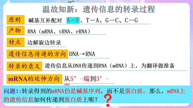 4.1《基因指导蛋白质的合成》（第2课时） 课件 人教版高中生物必修二第5页