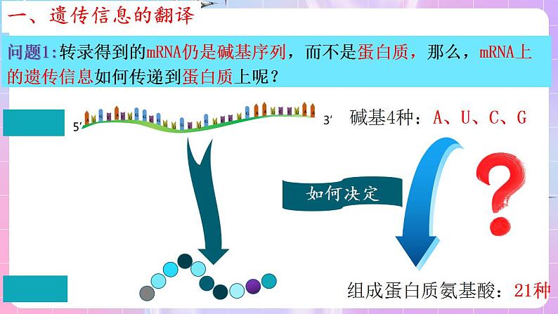 4.1《基因指导蛋白质的合成》（第2课时） 课件 人教版高中生物必修二第7页