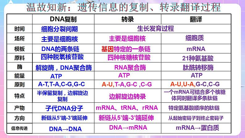 4.1《基因指导蛋白质的合成》（第3课时） 课件 人教版高中生物必修二05