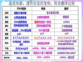 4.1《基因指导蛋白质的合成》（第3课时） 课件 人教版高中生物必修二