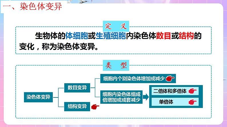 5.2《染色体变异》（第1课时） 课件 人教版高中生物必修二08