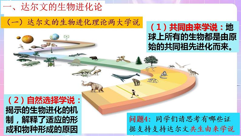 6.1《生物有共同祖先的证据》 课件 人教版高中生物必修二06