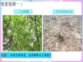 6.2《自然选择与适应的形成》 课件 人教版高中生物必修二