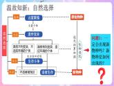 6.3《种群基因组成的变化与物种的形成》（第2课时） 课件 人教版高中生物必修二