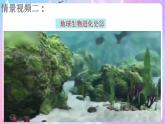 6.4《协同进化与生物多样性的形成》 课件 人教版高中生物必修二