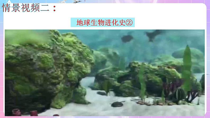 6.4《协同进化与生物多样性的形成》 课件 人教版高中生物必修二第4页