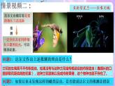 6.4《协同进化与生物多样性的形成》 课件 人教版高中生物必修二