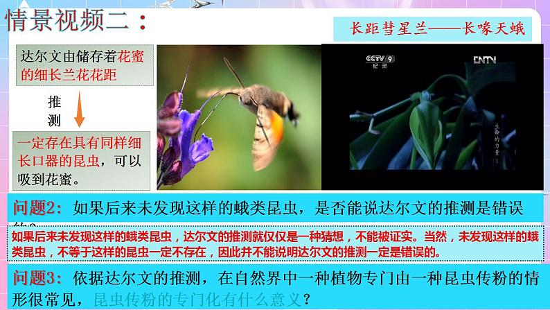 6.4《协同进化与生物多样性的形成》 课件 人教版高中生物必修二第6页