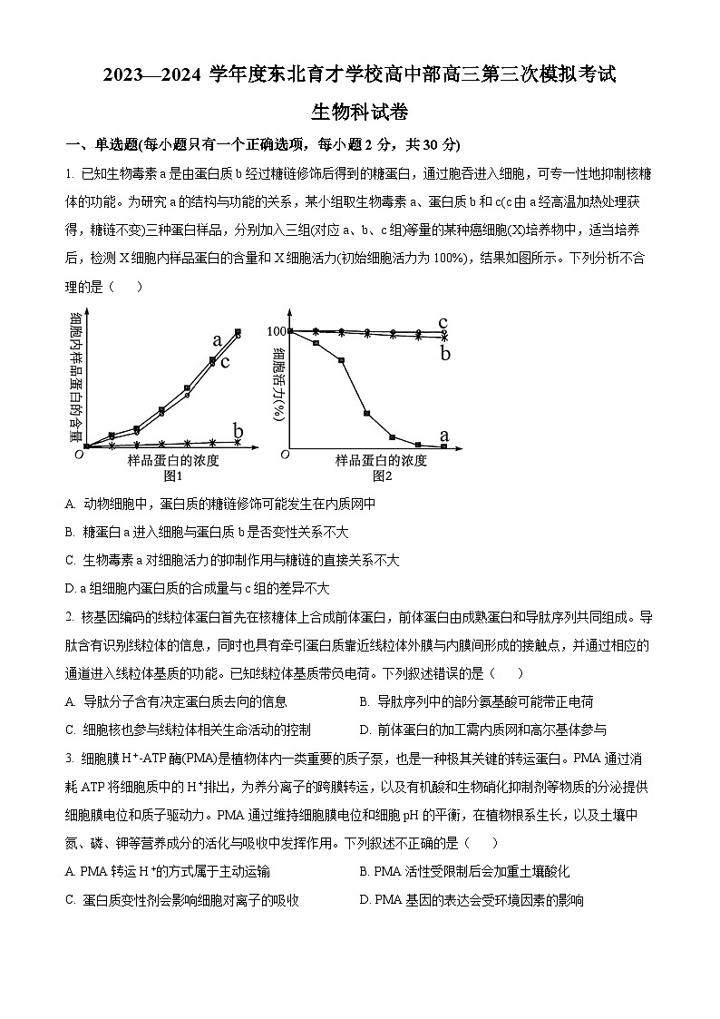 2023-2024学年度东北育才学校高中部高三第三次模拟考试 生物第1页