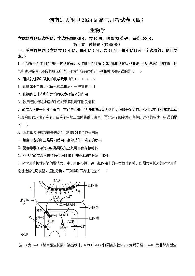 湖南师范大学附属中学2023-2024学年高三上学期月考卷（四）生物试题（原卷版）第1页