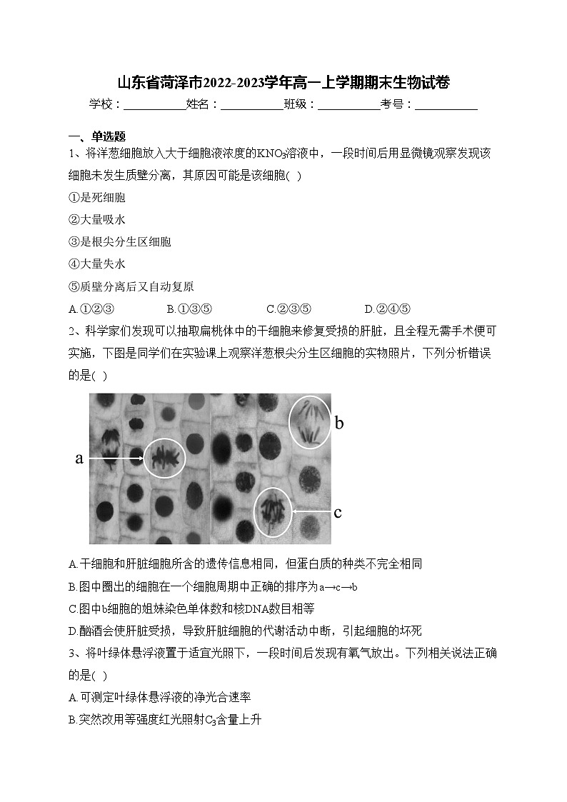 山东省菏泽市2022-2023学年高一上学期期末生物试卷(含答案)01