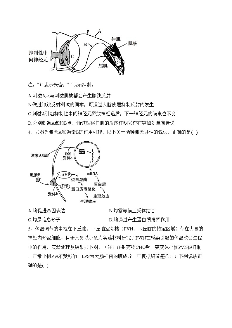 山东省青岛市多所学校2022-2023学年高二上学期线上期末测试生物试卷(含答案)02