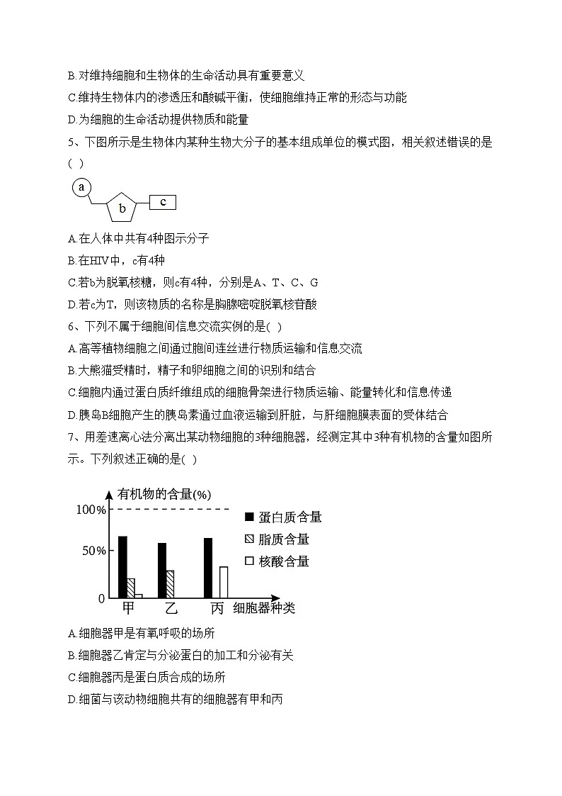 山东师范大学附属中学2022-2023 学年高一上学期期末测试生物试卷(含答案)02