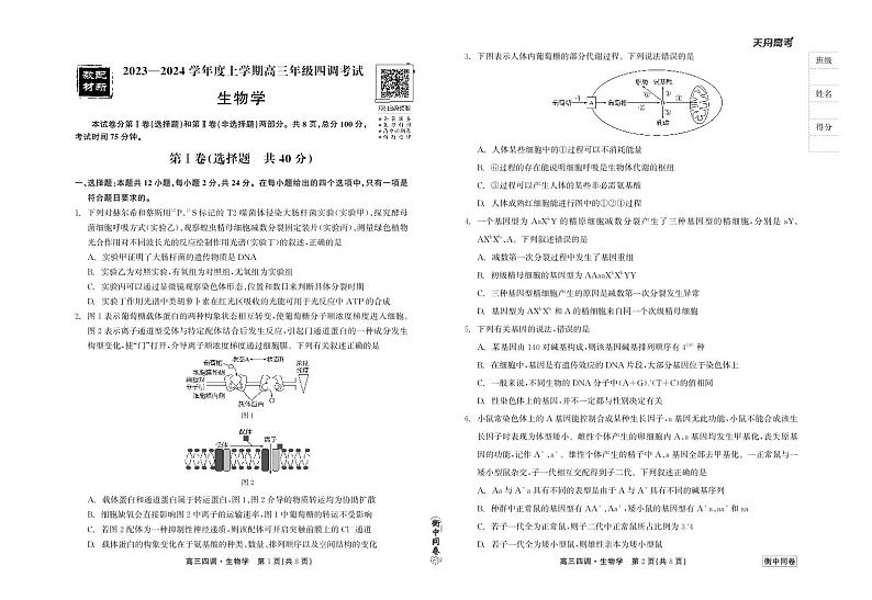 河北省衡中同卷2023-2024学年度上学期高三年级四调考试 生物第1页