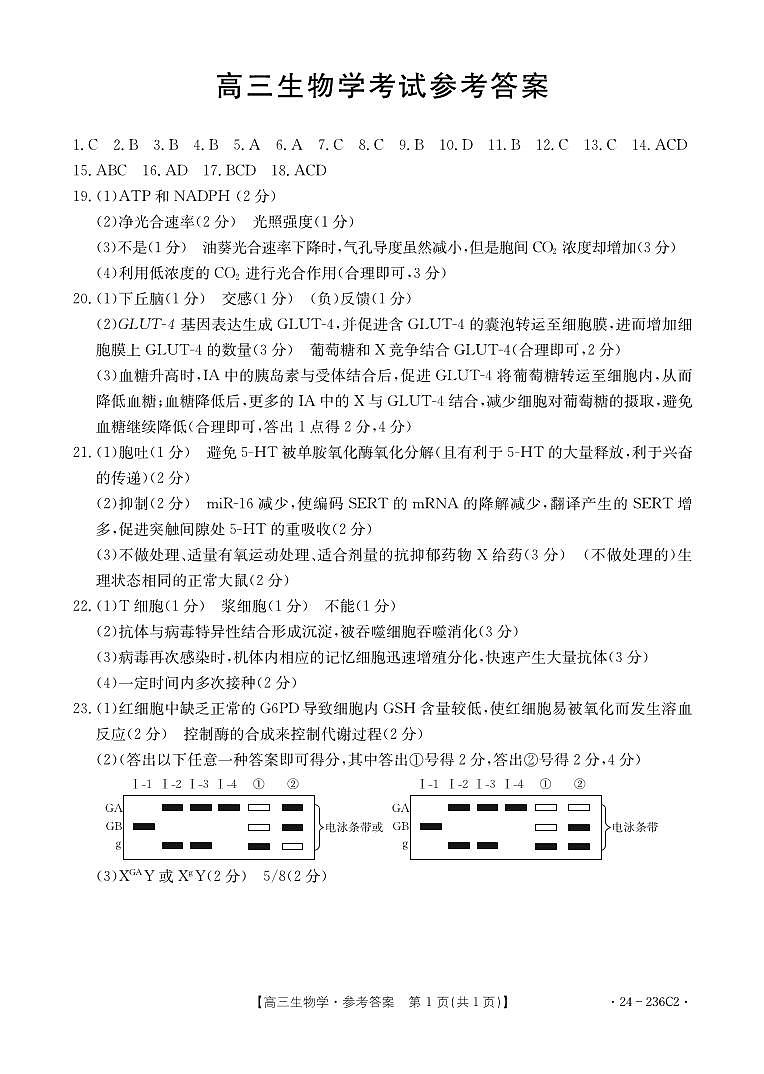 河北省保定市部分重点高中2023-2024学年高三上学期12月期末考试 生物答案第1页