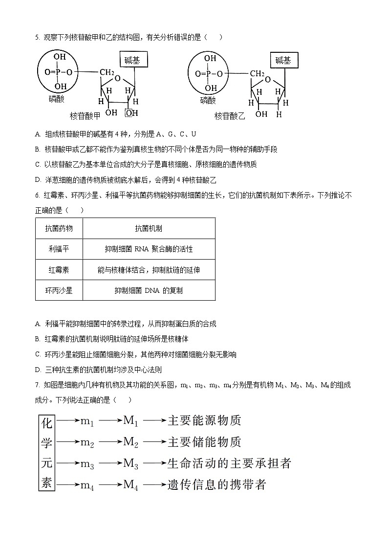 2024省鸡西密山高级中学高二上学期期末联考试题生物含解析第2页