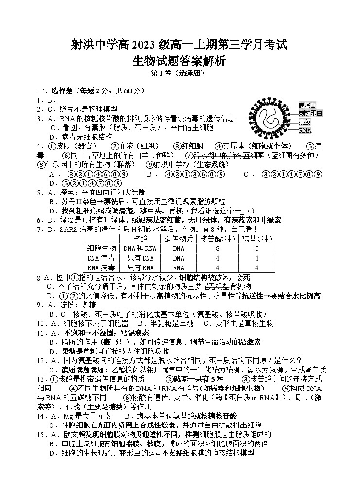 2024四川省射洪中学高一上学期第三次月考试题生物含答案01