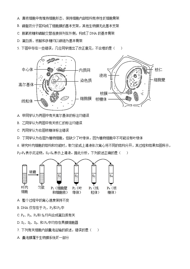 2024驻马店环际大联考“逐梦计划”高一上学期12月阶段考试（三）生物含解析02