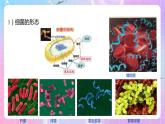 1.2 《微生物的基本培养技术》（第1课时）课件