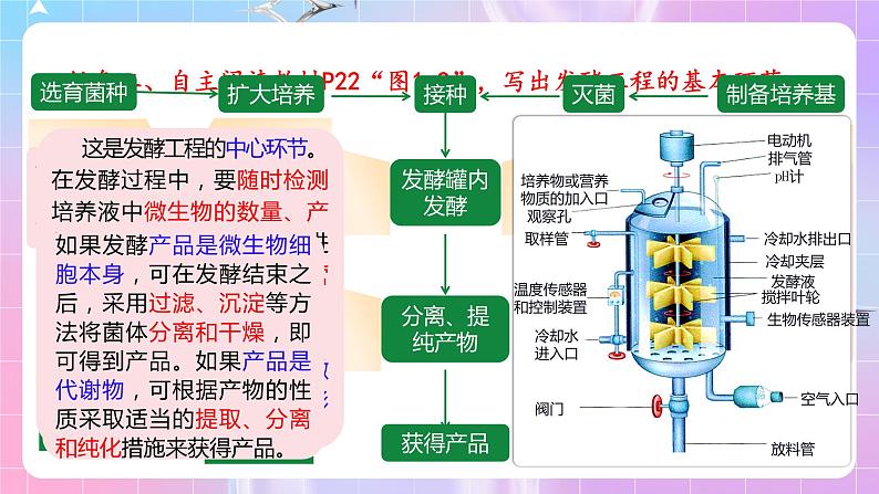 1.3《发酵工程及其应用》 课件05