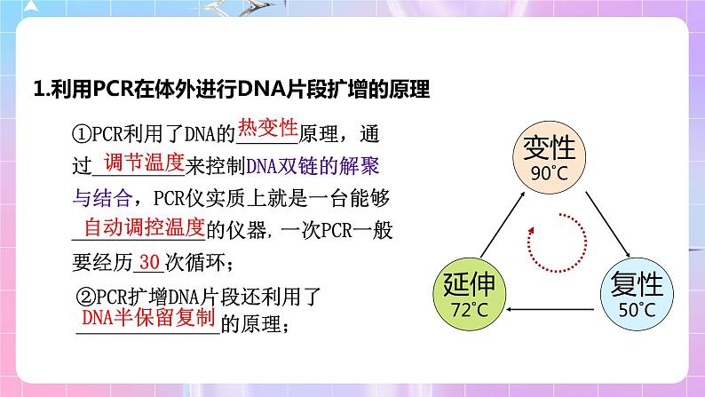 3.2 《实验DNA片段的扩增及电泳鉴定》 课件03