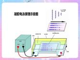 3.2 《实验DNA片段的扩增及电泳鉴定》 课件