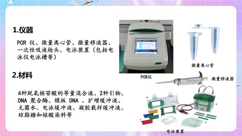 3.2 《实验DNA片段的扩增及电泳鉴定》 课件06