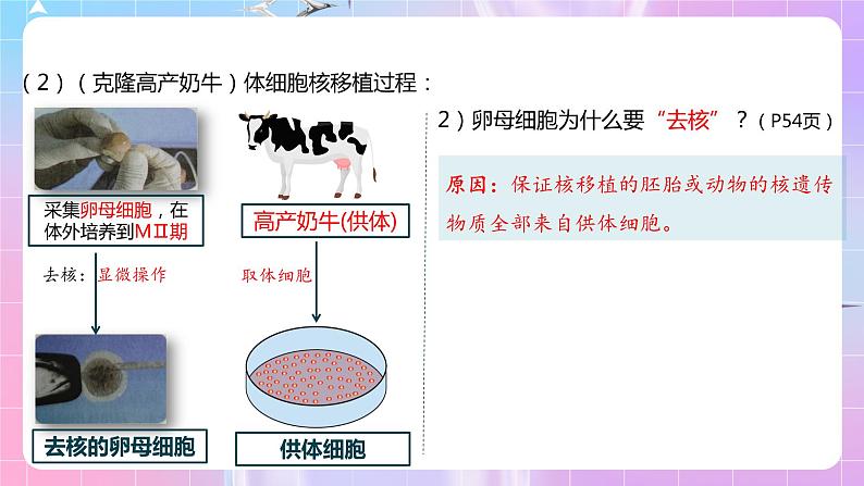 2.2.3 《动物体细胞核移植技术和克隆动物》（第3课时）课件第8页