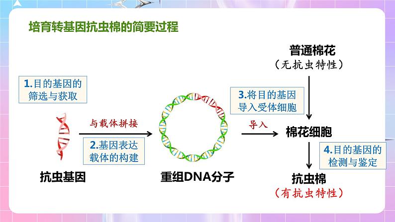 3.2 《基因工程的基本操作程序》（第1课时） 课件03