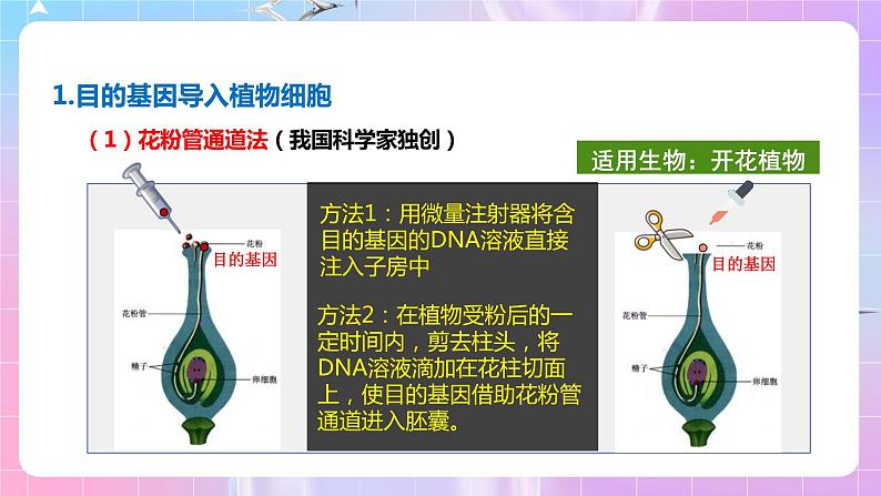 3.2 《基因工程的基本操作程序》（第2课时）课件04