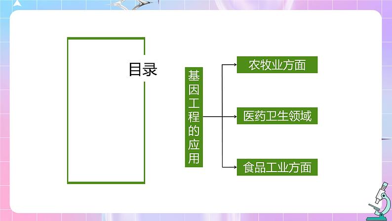 3.3 《基因工程的应用》 课件03