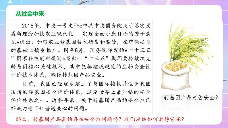 4.1《转基因产品的安全性》 课件02
