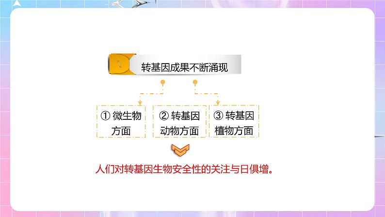 4.1《转基因产品的安全性》 课件03