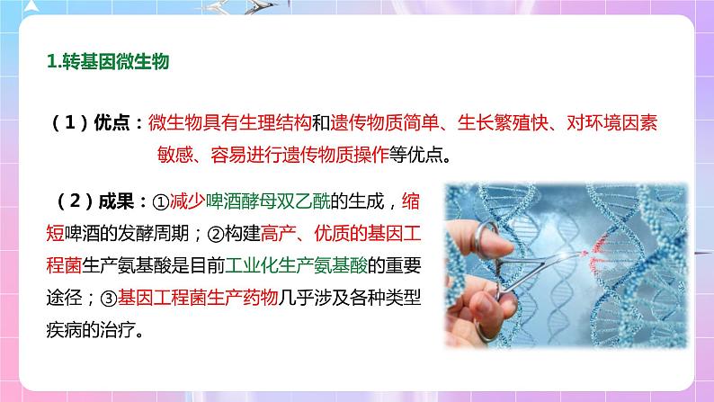 4.1《转基因产品的安全性》 课件04