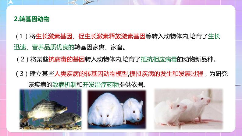 4.1《转基因产品的安全性》 课件05