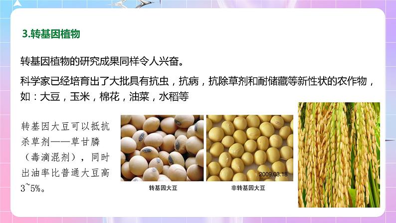 4.1《转基因产品的安全性》 课件07