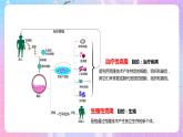 4.2 《关注生殖性克隆人》 课件