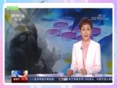 4.3 《禁止生物武器》 课件