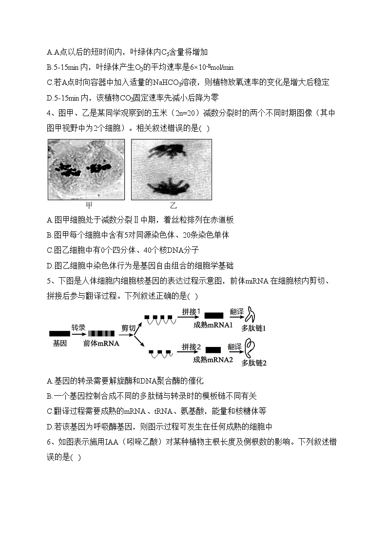 湖南省邵东市第一中学2022-2023学年高二下学期期中考试生物试卷(含答案)02