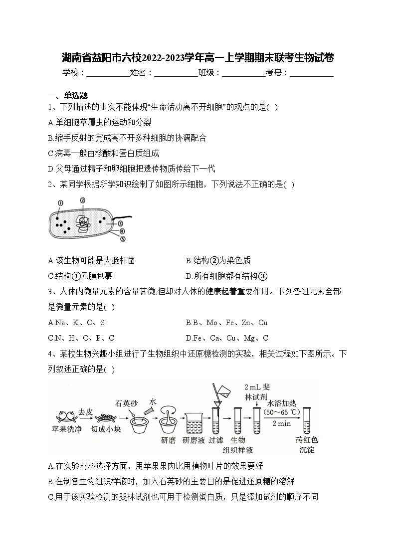 湖南省益阳市六校2022-2023学年高一上学期期末联考生物试卷(含答案)第1页