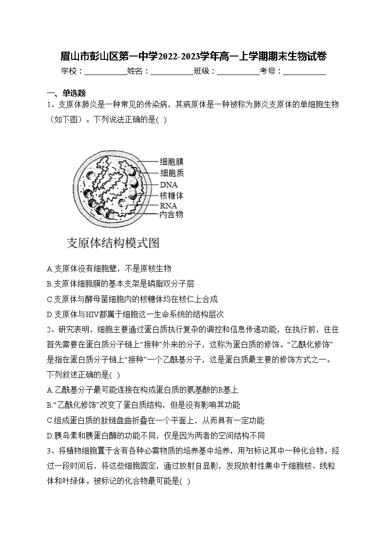眉山市彭山区第一中学2022-2023学年高一上学期期末生物试卷(含答案)01