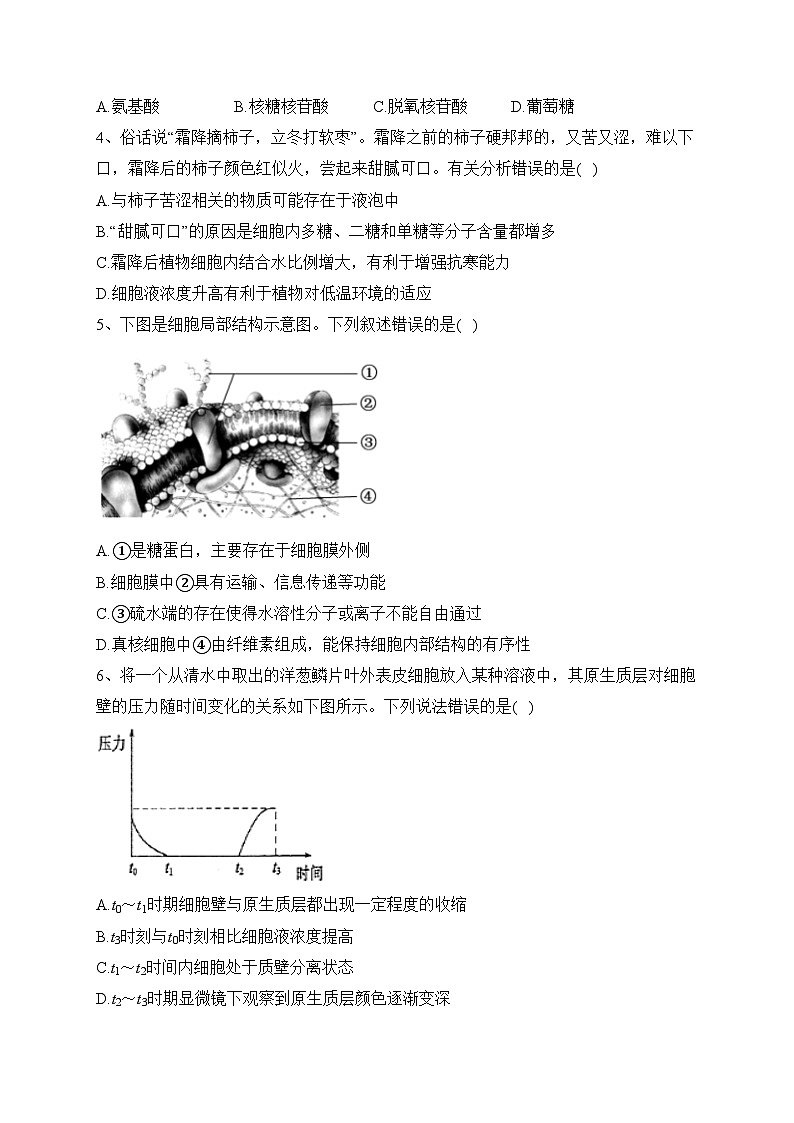 眉山市彭山区第一中学2022-2023学年高一上学期期末生物试卷(含答案)02