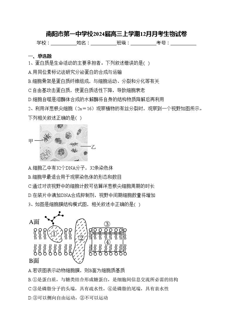 南阳市第一中学校2024届高三上学期12月月考生物试卷(含答案)01