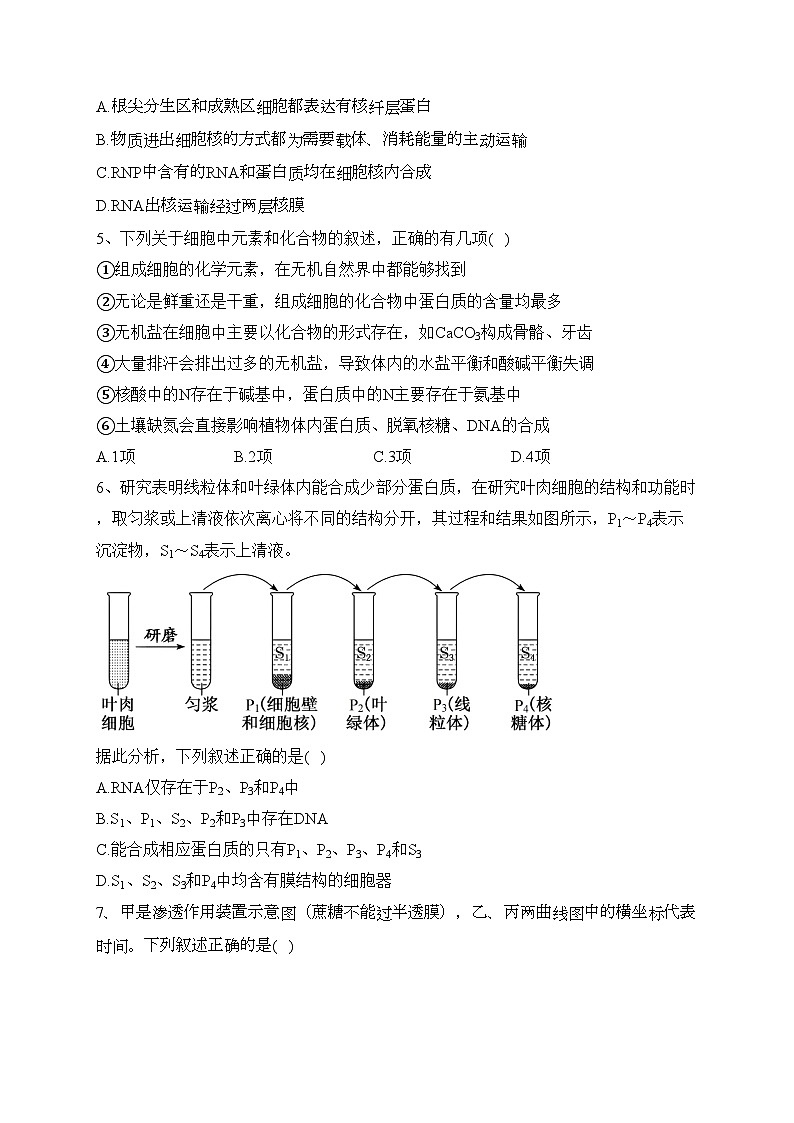 天津市静海区第一中学2023-2024学年高一上学期12月学生学业能力调研生物试卷(含答案)02